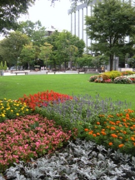 札幌大通公園花壇
