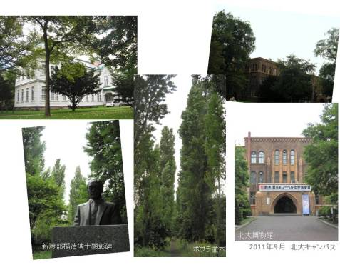 le5septembre2011_北海道大学キャンパス_新渡部稲造博士顕彰碑/ポプラ並木/総合博物館