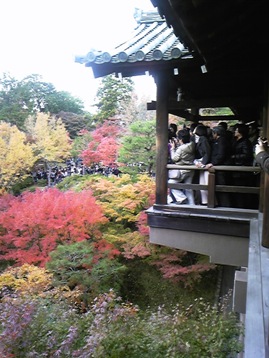 東福寺 通天橋の人混み&紅葉