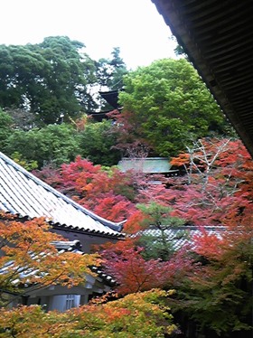 総本山永観堂禅林寺