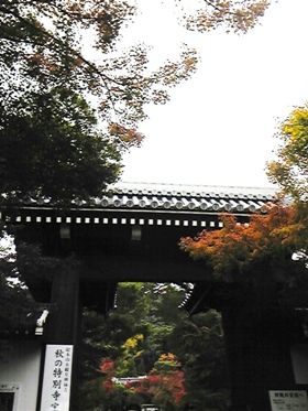 2011_京都 永観堂総門