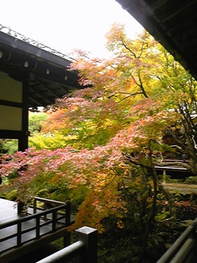 京都 永観堂