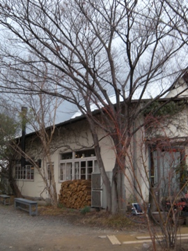 2012奈良 くるみの木一条店(カフェ)01