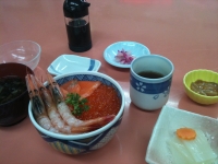 3食丼セット