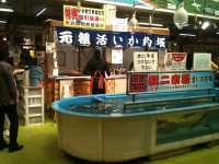 イカ釣り