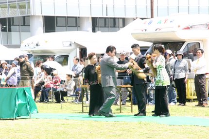 審査員の先生2
