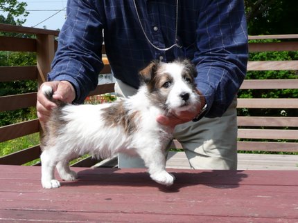 jrt