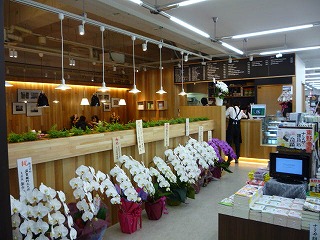 P1040197.jpg