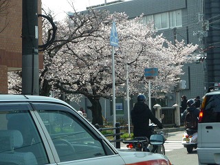 P1040203.jpg