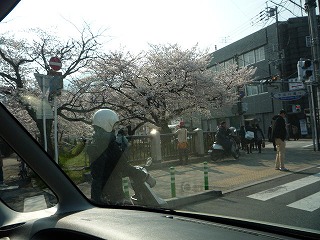 P1040205.jpg
