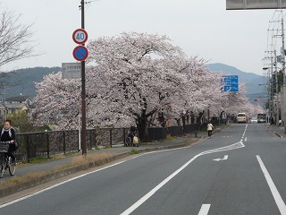 P1040208.jpg