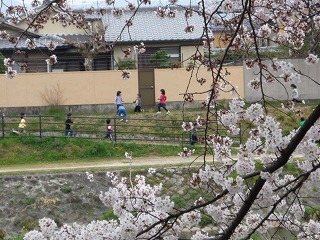 P1040215.jpg