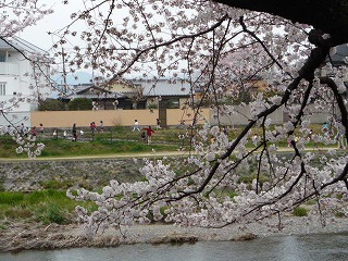 P1040216.jpg