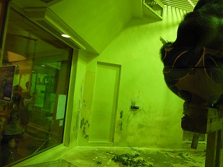 P1040289.jpg