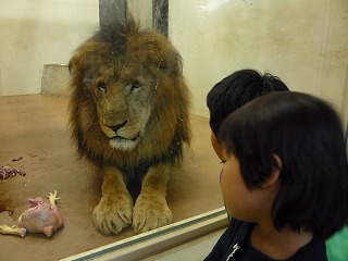 P1040305.jpg