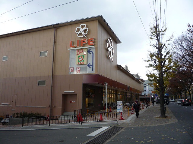 P1040353.jpg
