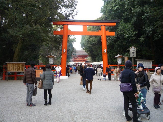 P1040470.jpg