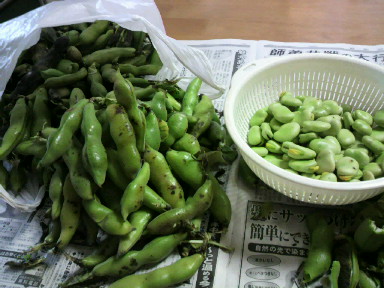 201006060854000.jpg