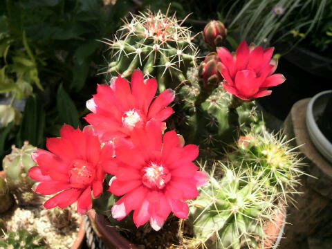 201006111228001.jpg