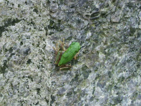 201007110700001.jpg