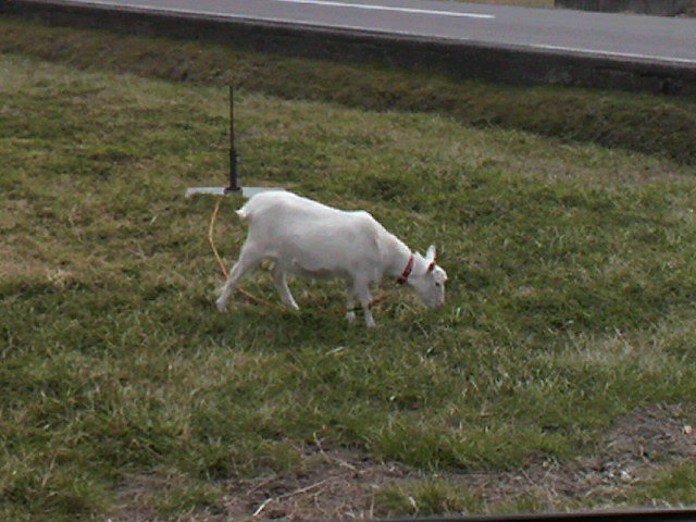 2011022713020000.jpg