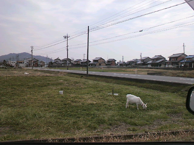 2011022713030000.jpg