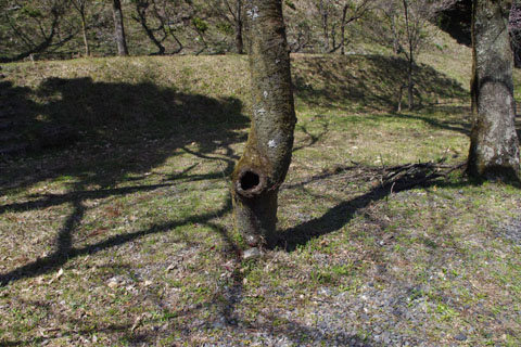 IMGP0490.jpg