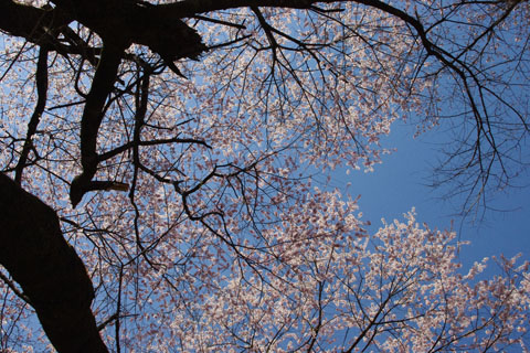 IMGP0495.jpg