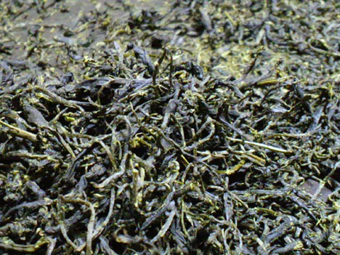 2011051017340000.jpg