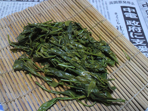 2011051012210000.jpg