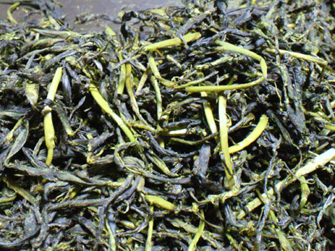 2011051013260000.jpg