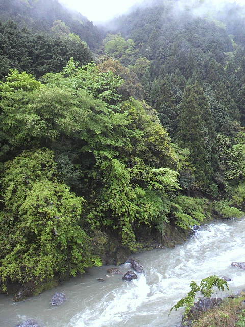 2011051318180000.jpg