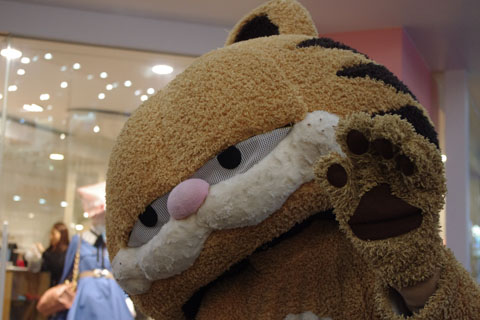IMGP0328.jpg