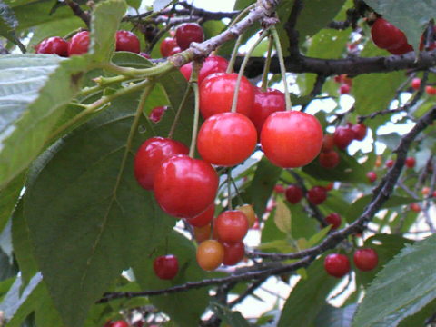 2011052118490000.jpg
