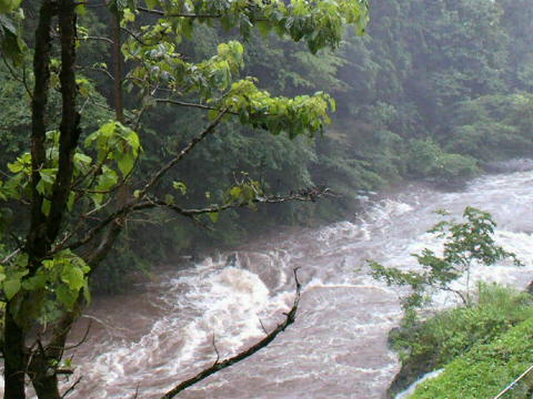 2011072008550000.jpg