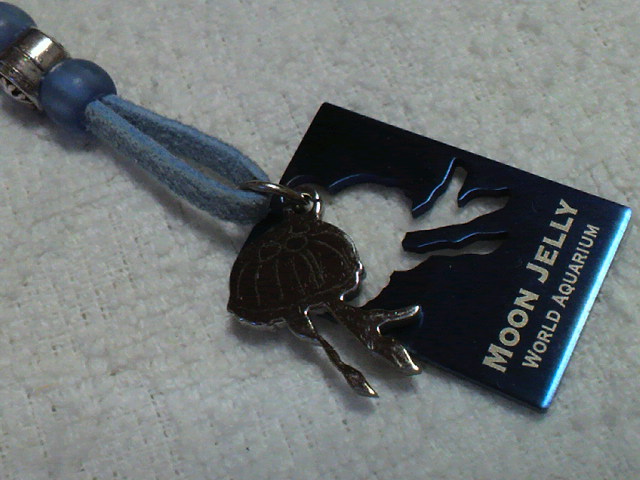 2011083018240001.jpg