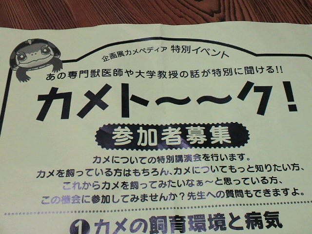 2011082820390000.jpg