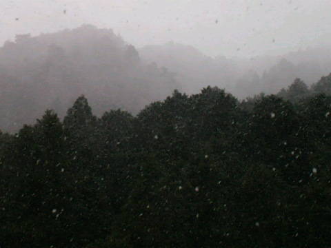 2011121612590000.jpg