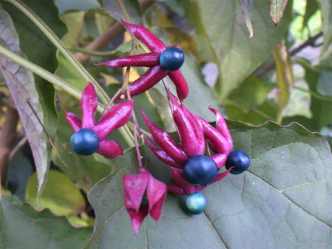 2012010614330000.jpg