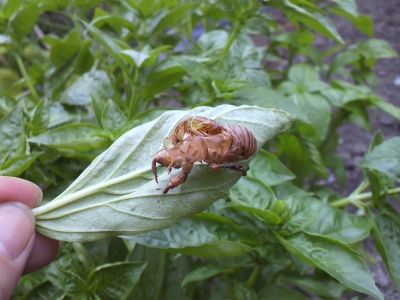 2013082917520000.jpg