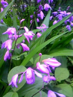 090511_175641.JPG