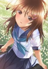 to amazon narcissus.JPG