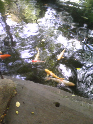 Image068.jpg