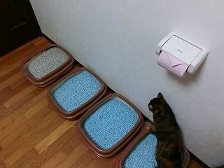 2013.8.5 005jpeg.jpg