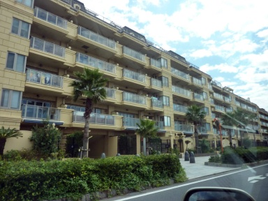 hayama-1.jpg