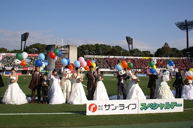 a-PICT2211.jpg