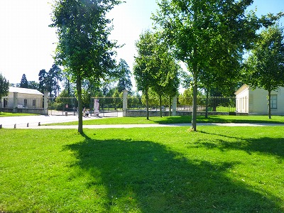 a-P1030155.jpg