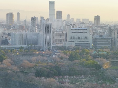 a-P1010960.jpg