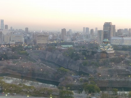a-P1010961.jpg