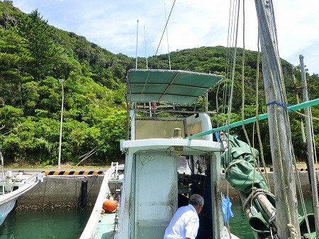 a-P1050990.jpg